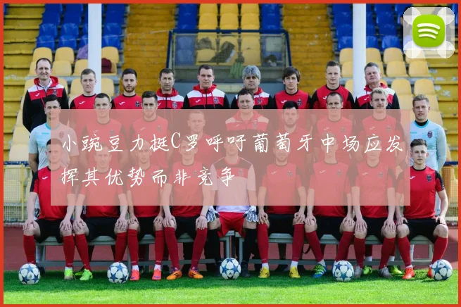 小豌豆力挺C罗呼吁葡萄牙中场应发挥其优势而非竞争