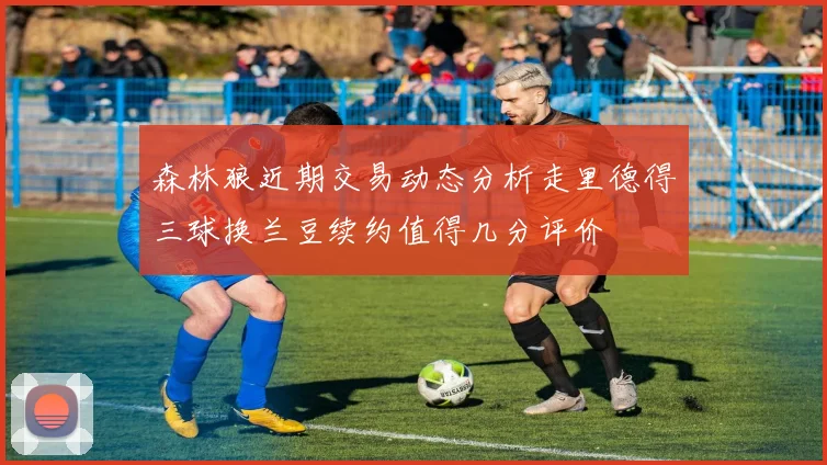 森林狼近期交易动态分析走里德得三球换兰豆续约值得几分评价